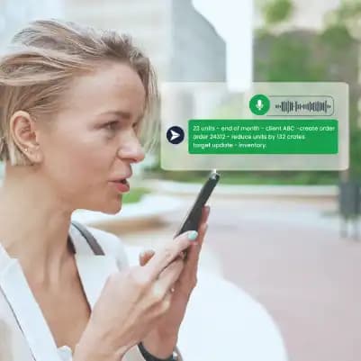 Domain Adapted Speech Transcription